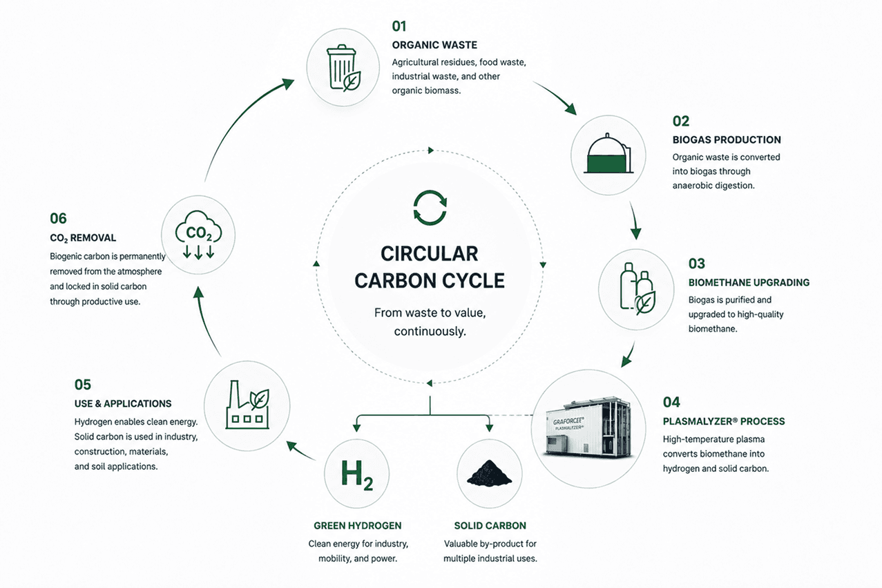 Circular carbon cycle diagram